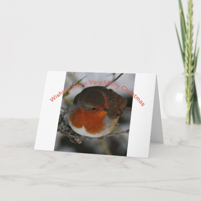 Carte de Noël avec Robin (Devant)