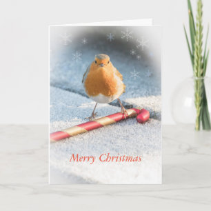 Carte de Noël avec robin et bonbon de Noël sucré