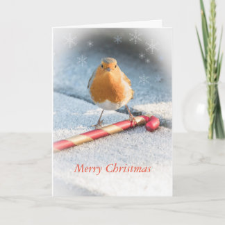 Carte de Noël avec robin et bonbon de Noël sucré