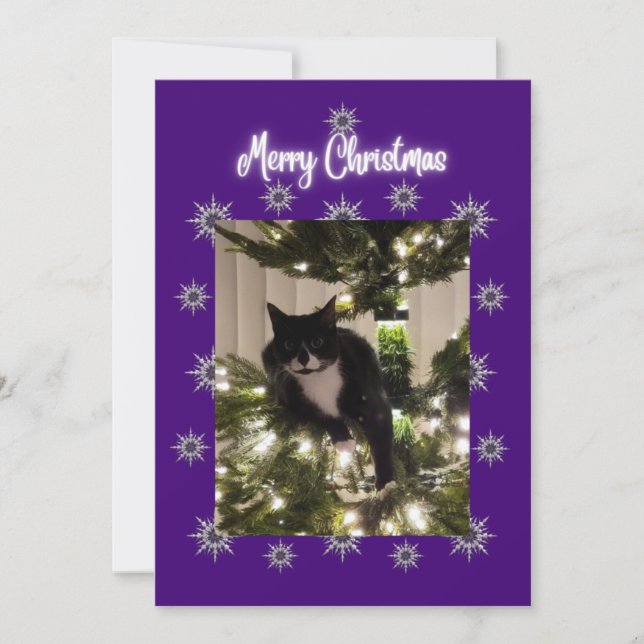 Carte de Noël avec un chat smoking sur l'arbre.  (Devant)
