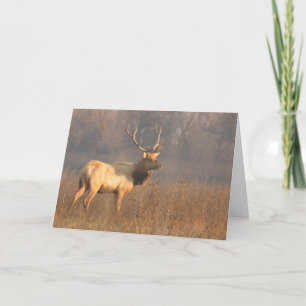 Carte de Noël avec wapiti Tule