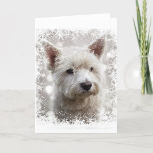 Carte de Noël avec Westie