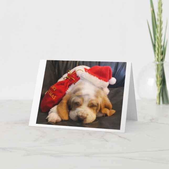 carte de noël Basset hound chiot (Devant)
