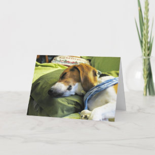 Carte de Noël beagle