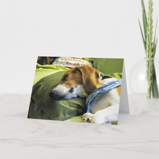 Carte de Noël beagle (Devant)