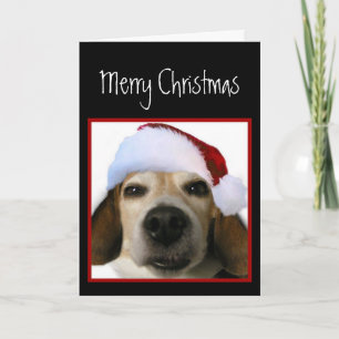 Carte de Noël beagle