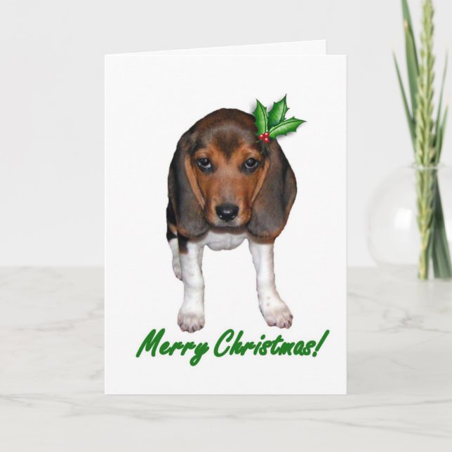 Carte de Noël beagle (Devant)