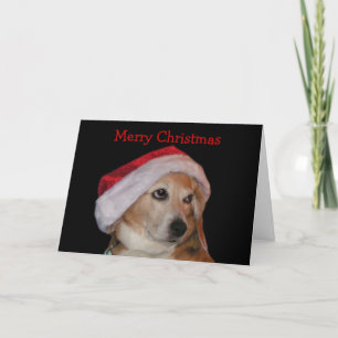 Carte de Noël beagle (Père Noël)