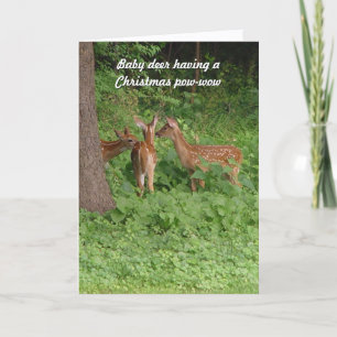 Carte de Noël Bébé Boeuf Pow-Wow