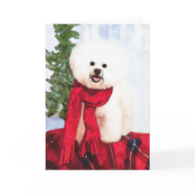 Carte de Noël Bichon Frise