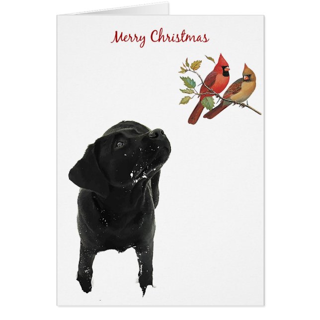 Carte de Noël Black Labrador (Devant)