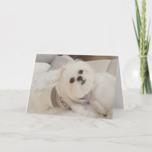 Carte de Noël blanche chérie de chiot d'Ava Shih