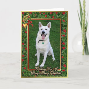 Carte de Noël blanche de chien berger allemand