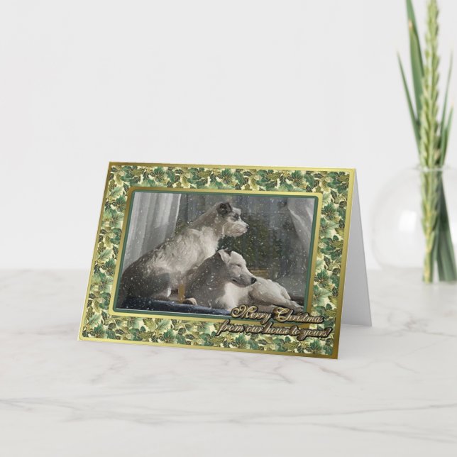 Carte de Noël blanche Jack Russell Terrier Dog (Devant)