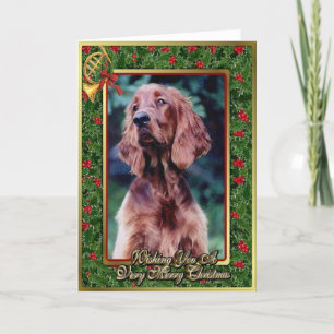 Carte de Noël blanche pour chien de couture irland