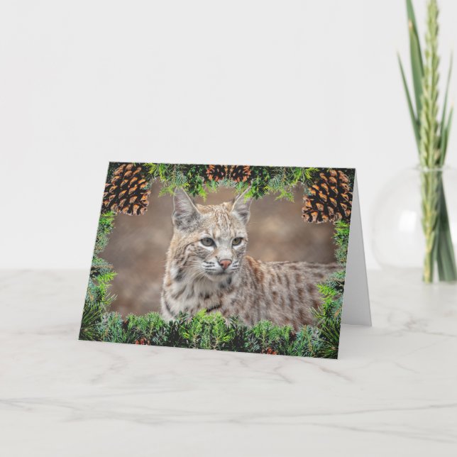 Carte de Noël Bobcat (Devant)