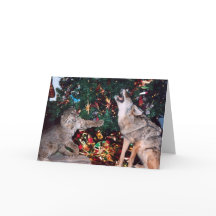 Carte de Noël Bobcat Coyote Wild Animal Southwest