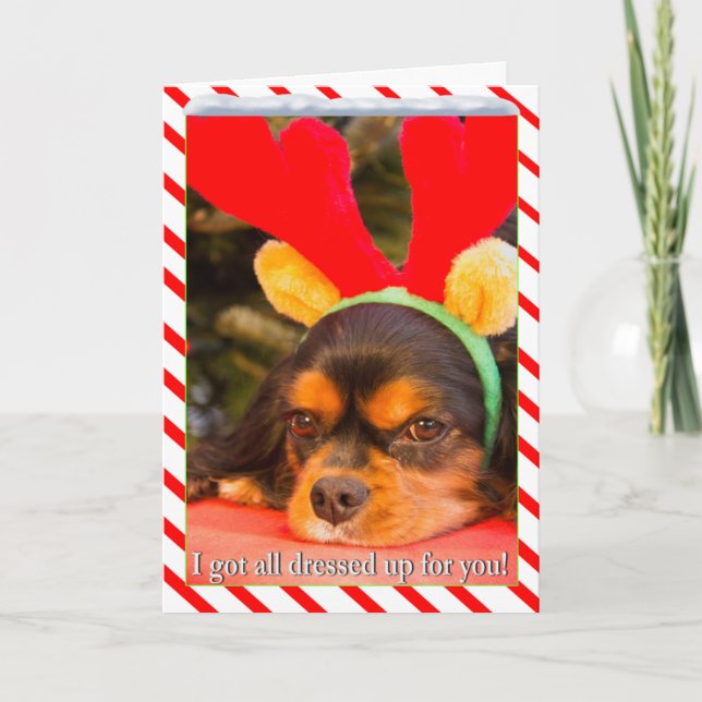 Carte de Noël Bored King Charles Spaniel Reindeer (Devant)