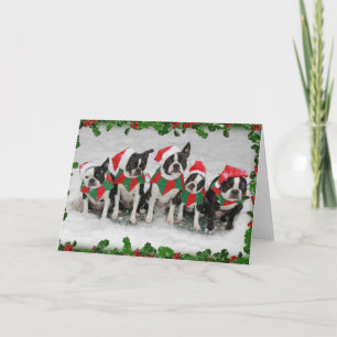 Carte de Noël Boston Terrier