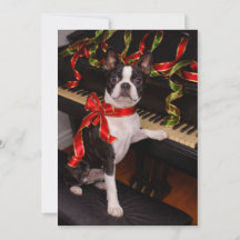 Carte de Noël Boston Terrier – Fêtes de fin d'anné