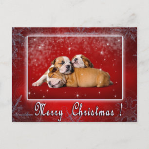 Carte de Noël Bulldog