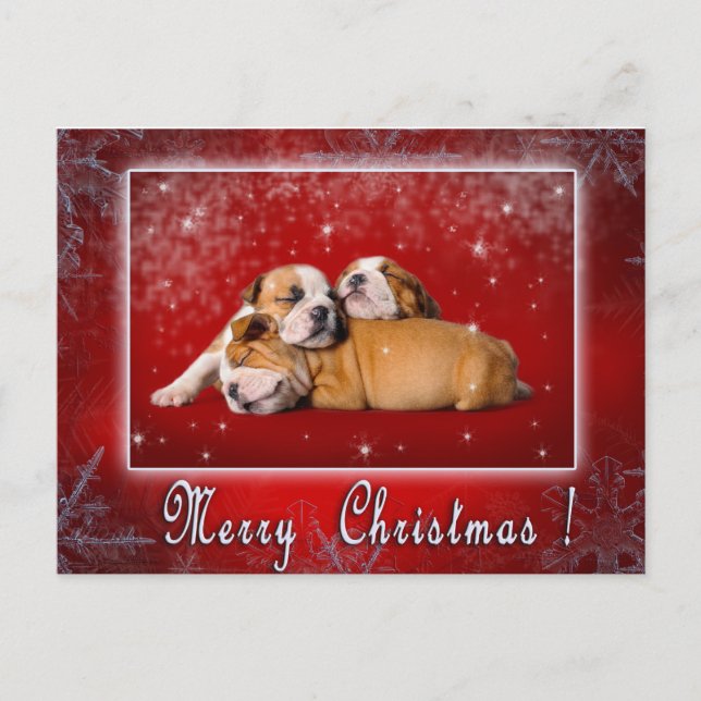 Carte de Noël Bulldog (Devant)
