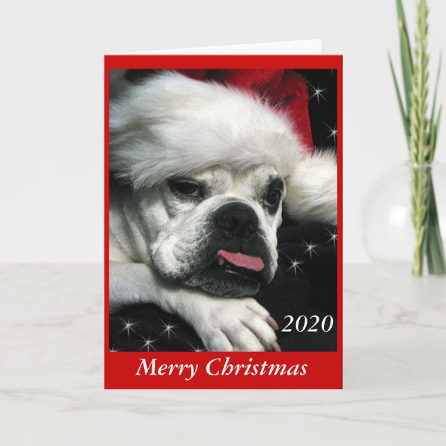 Carte de Noël Bulldog anglaise. (Devant)