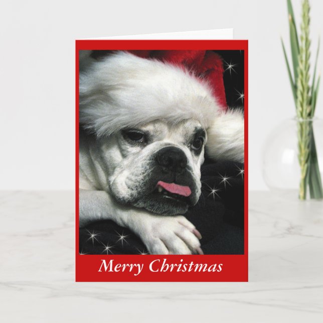 Carte de Noël Bulldog anglaise. (Devant)