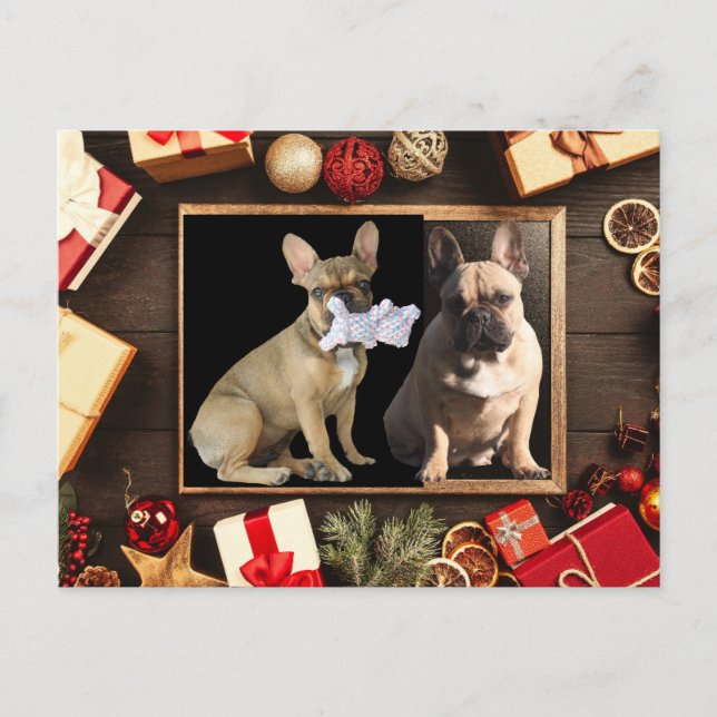 Carte de Noël bulldogs français Noël (Devant)