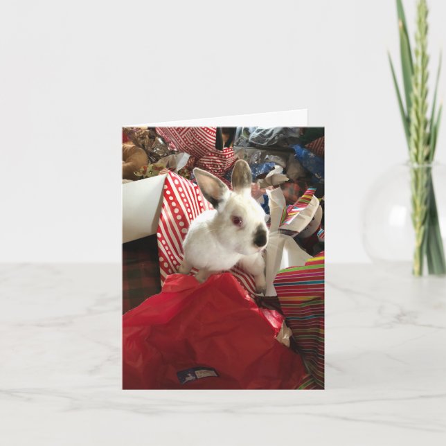 Carte de Noël, Bunny de Noël Joy Hot Mess Card (Devant)