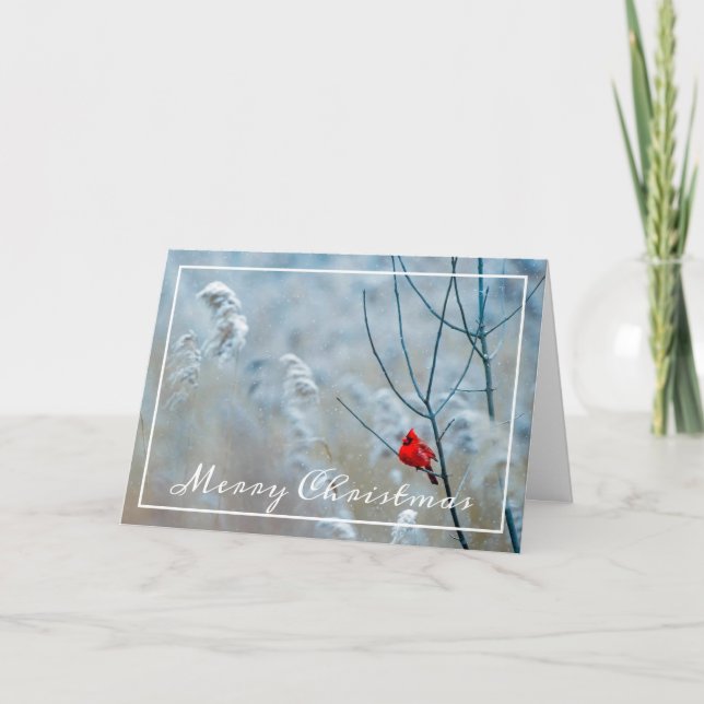 Carte de Noël Cardinal Wintry (Devant)