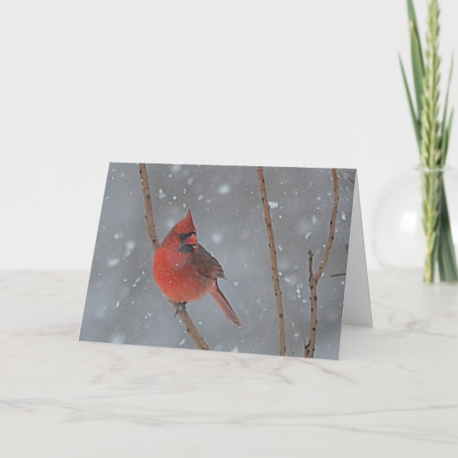 Carte de Noël cardinale de Milou (Devant)