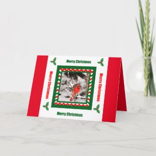 Carte de Noël cardinale du nord de Joyeux Noël