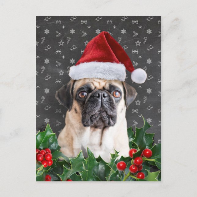 Carte de Noël carlin (Devant)