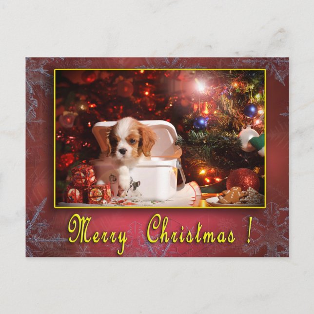 Carte de Noël Cavalier (Devant)
