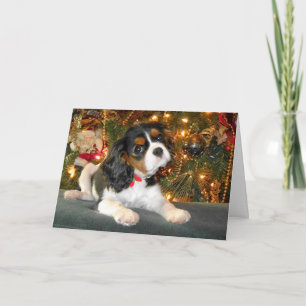 Carte de Noël Cavalier King Charles Spaniel