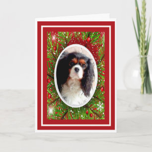 Carte de Noël Cavalier King Charles Spaniel