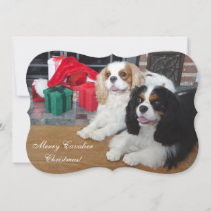 Carte de Noël Cavalier King Charles Spaniel