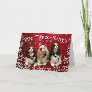 Carte de Noël Cavalier King Charles Spaniel