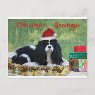 Carte de Noël cavalière