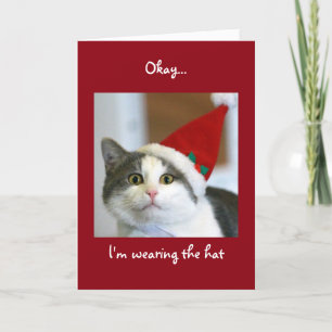 Carte de Noël centrée sur le chat