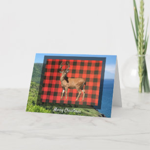 Carte de Noël Cerf de la Forêt à carreaux de Buffa