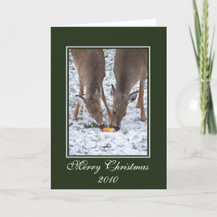 Carte de Noël/Cerf d'hiver