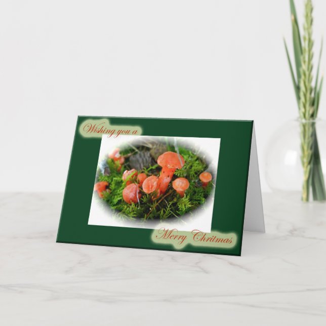 Carte de Noël Champignons Lumineux (Devant)