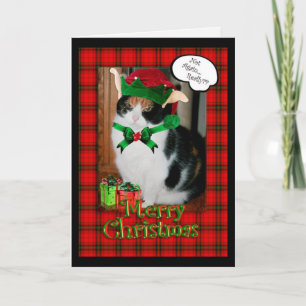 Carte de Noël, chat grincheux