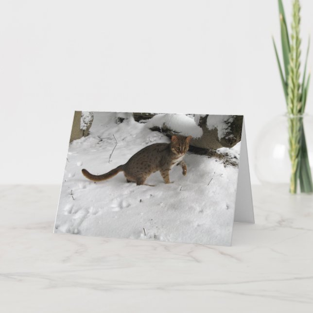 Carte de Noël - chat repéré rouillé 2 (Devant)