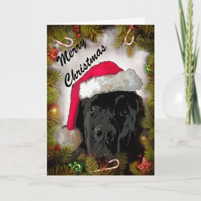 Carte de Noël ~ Chien de Terre-Neuve (Devant)