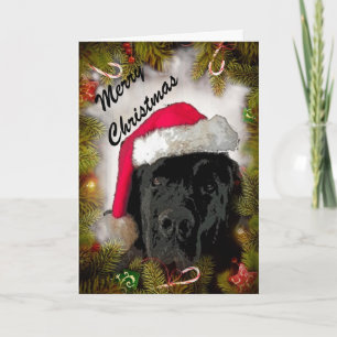 Carte de Noël ~ Chien de Terre-Neuve