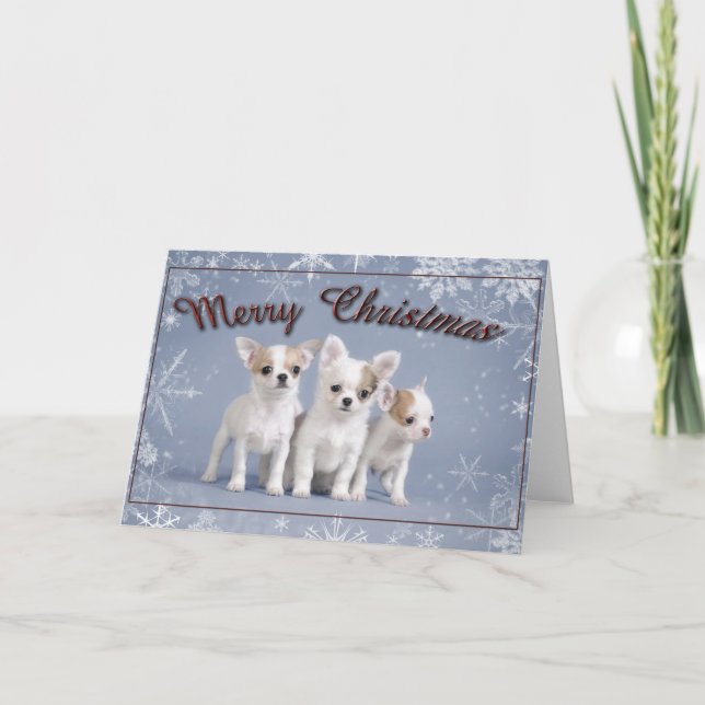 Carte de Noël Chihuahua (Devant)