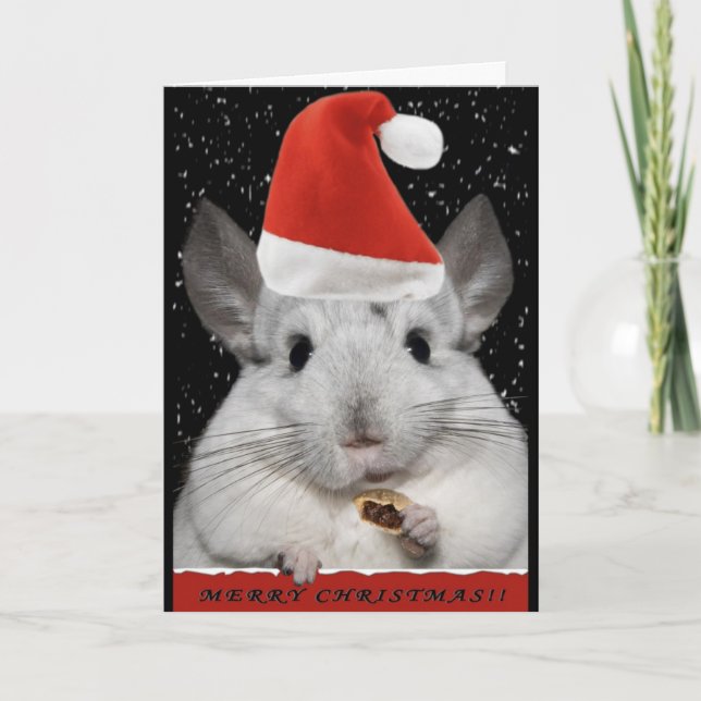 Carte de Noël Chinchilla (Devant)